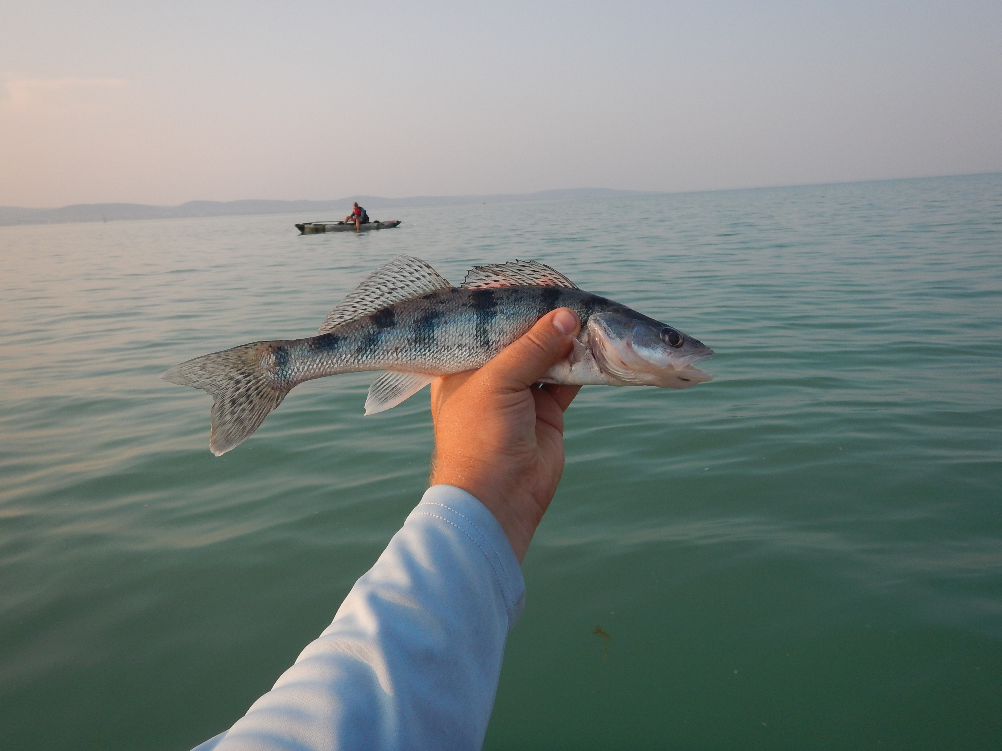 BigTuna a kősüllő mögött